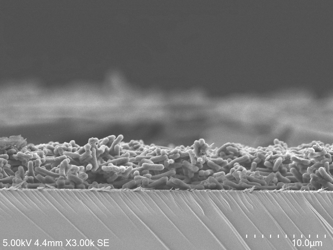 Solar Cells, Literally